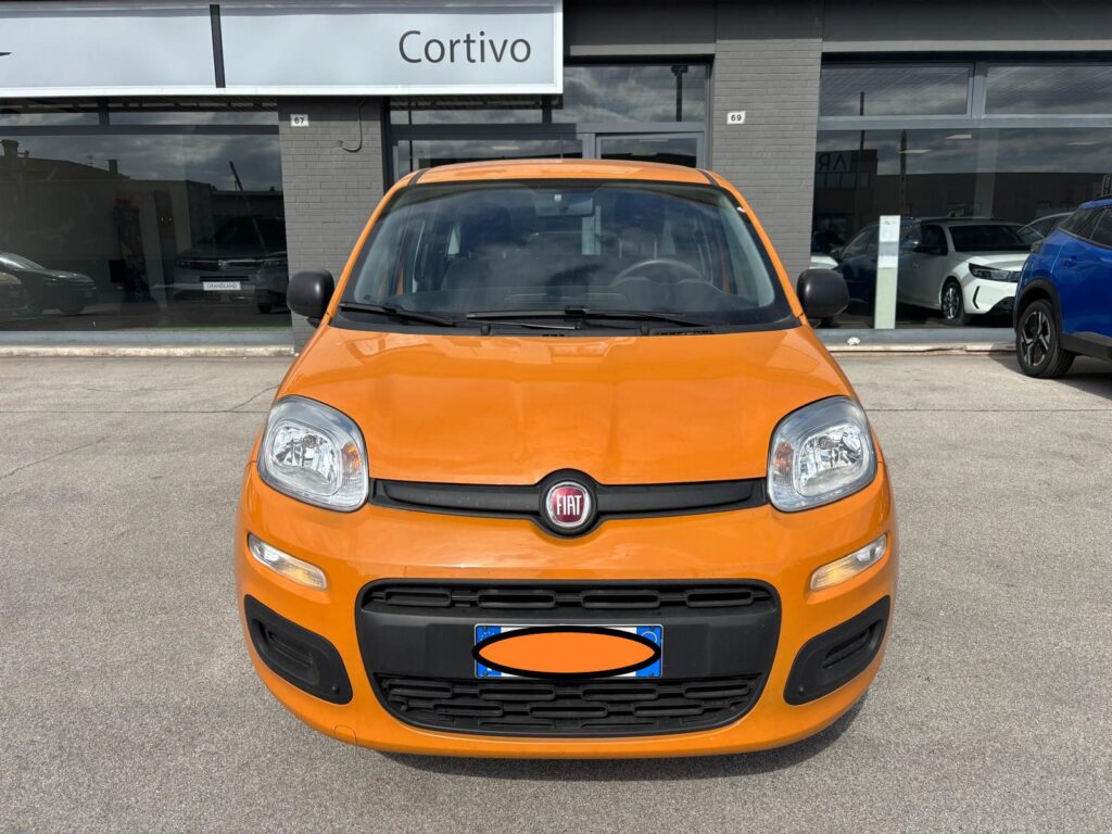 Panda1.2 Easy 69cv s&s